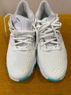 asics UNPRE ARS LOW 2 アンプレアルス　ロー 25.5cm