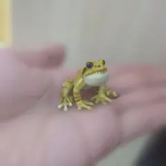 原色両生類カエル図鑑 カエルのミニフィギュア リュウキュウカジカガエル