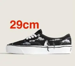 Yusuke Hanai × Vans Premium Authentic 44