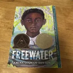 FREEWATER Amina Luqman-Dawson 洋書