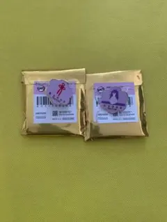 鬼滅の刃　隊士百景　コレクションピンズ