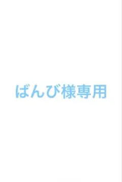 ばんび様専用ページ