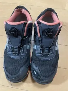 Item thumbnail for item 8070e0b4-8b8b-4c54-bbec-830bc9a741b8