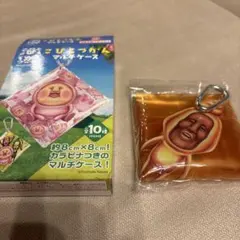 こびとづかん マルチケース 20周年記念デザイン
