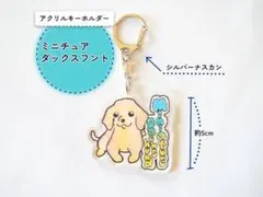 アクリルわんこキーホルダー ミニチュアダックスフント