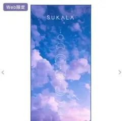 LAVA プリントヨギラグ SUKALAトワイライト Web限定【未使用未開封】