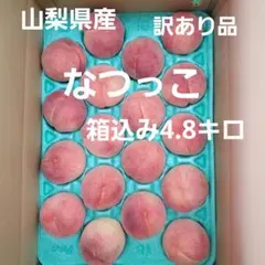 ② 山梨県産 なつっこ 【訳あり品】１８個入り 箱込み4.8キロ