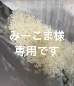 リピート割引令和7年愛知県産 あいちのかおり【精米20kg】送料込 お米20キロ リピート割引令和7年愛知県産 あいちのかおり【精米20kg】送料込 お米