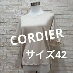 CORDIER コルディア　レディース　半袖　半袖シャツ　カットソー　サイズ42のサムネイル
