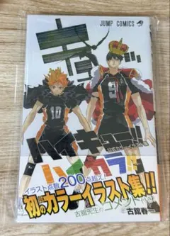 ハイキュー!! 公式カラーイラスト集 ハイカラ!!