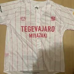 TEGEVAJARO MIYAZAKI 応援ユニフォーム