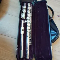 Item thumbnail for item a5876a43-9845-4522-a67c-ffa49436ccb1