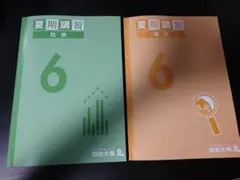 【2025夏 最新版】四谷大塚 予習シリーズ 夏期講習 6年生 理科 社会セット