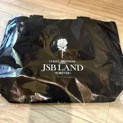 三代目 JSB LAND アプグレ ランチトートバッグのサムネイル