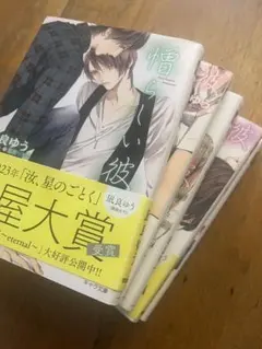 2026年最新】美しい彼 小説セットの人気アイテム - メルカリ