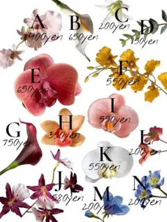 [オーダー受付ページ]