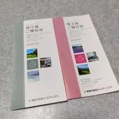 東急不動産ホールディングス 株主優待2冊セット