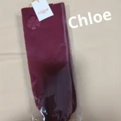 Item thumbnail for item 39ff1253-6f5f-4b6d-8d4b-924ac385170c