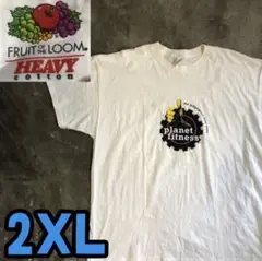 2T5403 FRUIT OF THE LOOM Tシャツ ビッグサイズ　古着