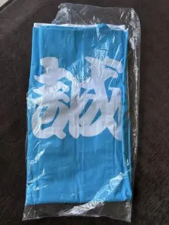 Item thumbnail for item 0aca030f-bf83-4655-a2ee-bff892cf1af2