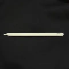 【整備済み品】Apple Pencil(第2世代)