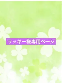 ラッキー様専用ページです