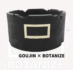 2025年最新】botanize 鉢の人気アイテム - メルカリ