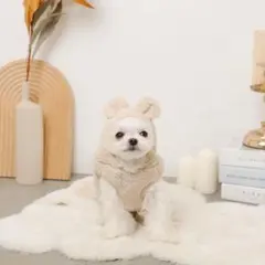 moncheri くまさんもこもこフリースパーカー