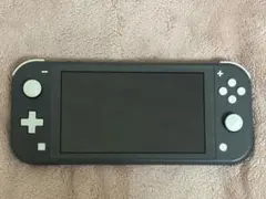 Nintendo Switch Lite グレー 本体 ケース付き