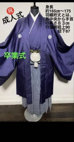 平和屋着物□極上 男性 色無地 紋付き羽織・行灯袴セット キングサイズ  