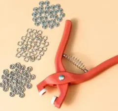 Item thumbnail for item 684b030f-ce22-4f36-bc39-6e45e50ba150