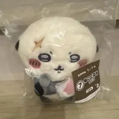 ちいかわ エニマイくじ ぬいぐるみ ラッコ