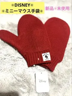 ✳︎DISNEY✳︎ディズニーミニーマウス手袋✳︎RED✳︎新品・未使用✳︎1点限り✳︎