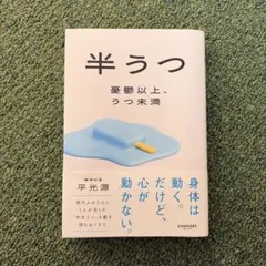 半うつ 憂鬱以上、うつ未満