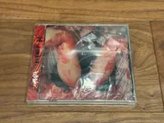 トップシークレットマン 新しい朝に怯えているCD 歌詞カード