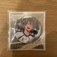 2026年最新】木葉 缶バッジの人気アイテム - メルカリ