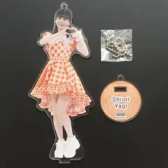 2026年最新】八木栞 アクリルの人気アイテム - メルカリ