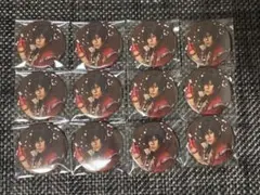 大倶利伽羅　パライソ　缶バッジ　12点