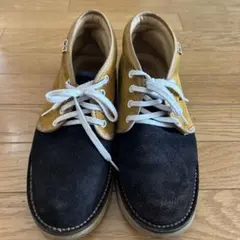 Item thumbnail for item 88c0a94d-64fd-41a1-ae31-32105355f437