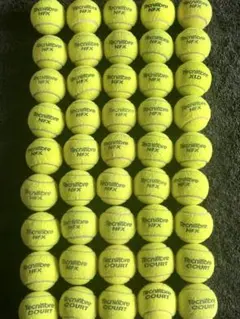 Tecnifibre COURT 中古テニスボール 100球入り - メルカリ