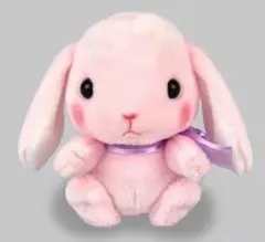 新品tt■ぽてうさろっぴー　みみぴょん　ST (うさぎ、ウサギ、兎、ぬいぐるみのサムネイル