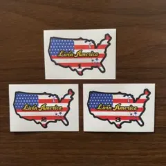 新品 LivinAmerica カスタムパーツ アメリカ ロゴタグ 21枚セット
