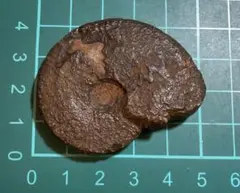 【専用出品】同梱100円引き