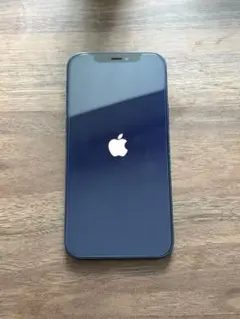Apple iPhone 12 ブルー 256GB 本体(箱付き) 100%