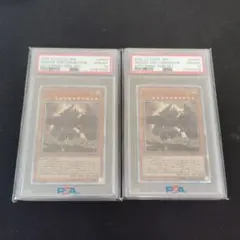 遊戯王OCG オベリスクの巨神兵 PSA10 2枚セット 20thシークレット