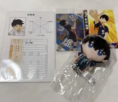 ハイキュー 影山飛雄