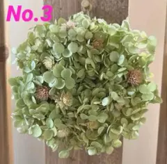 本日限定SALE✧*紫陽花 ドライフラワー ミニリース アナベル③