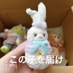 ディズニーシー　ステラルー　ぬいぐるみチャーム　圧縮しないように発送いたします