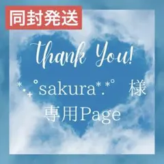 *‧₊˚sakura*.*゜様 リクエスト 4点 まとめ商品