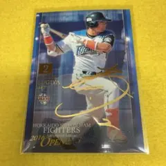 2026年最新】杉谷 サインの人気アイテム - メルカリ